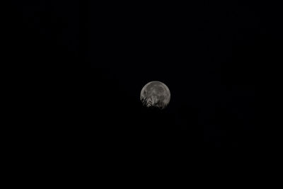 Low angle view of moon against sky at night