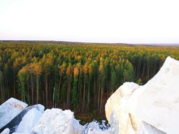 Scenic view of green landscape and mountains against clear sky