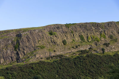 Scenic view of landscape against clear sky