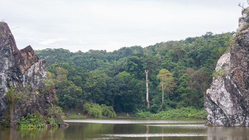 Scenic view of river amidst trees against sky