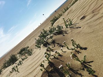 View of sand dunes in a desert