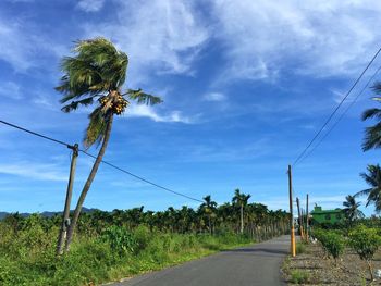 Road amidst trees on field against sky