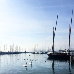 Boats moored at harbor