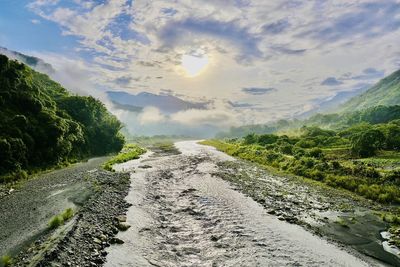 nature