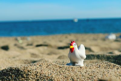 Close-up of toy on beach