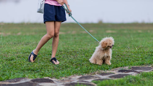 Low section of woman with dog on grass