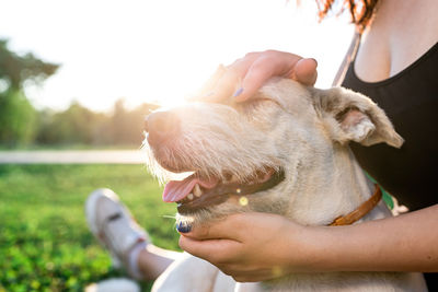 Pet care. pet adoption. young woman hugging her mixed breed dog