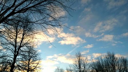 Low angle view of bare tree against cloudy sky