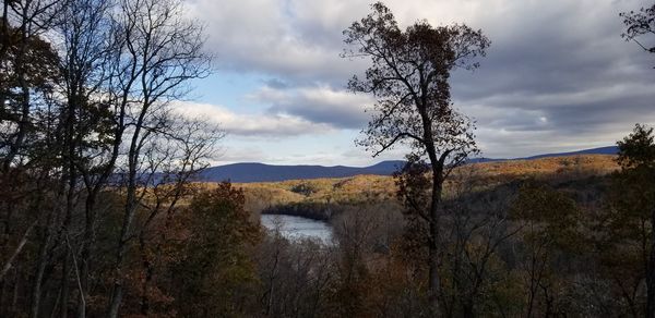 Scenic view of bare trees by lake against sky