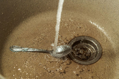 High angle view of crab in water