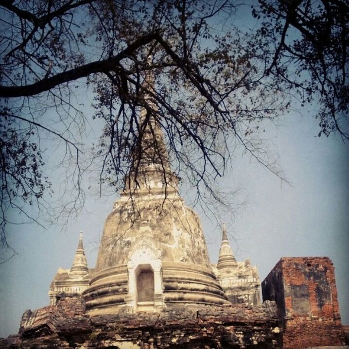 architecture, built structure, religion, tree, place of worship, low angle view, building exterior, history, spirituality, old, bare tree, clear sky, old ruin, the past, ancient, sky, church, branch, famous place