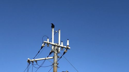Low angle view of bird perching on cable against clear sky