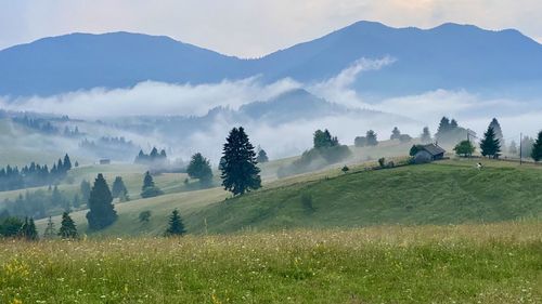 Summer evening in tihuta pass.