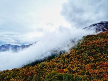 Dense fog rises over autumn landscape