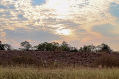 Scenic view of field against sky during sunset