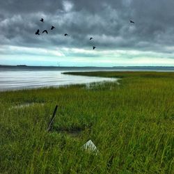 Scenic view of lake against sky