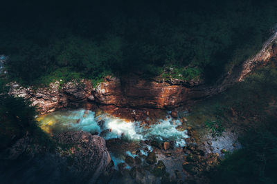High angle view of trees and rocks in forest