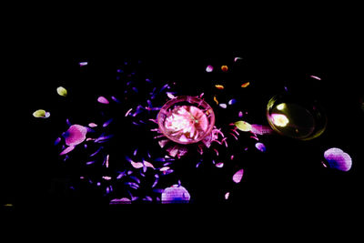 petal
