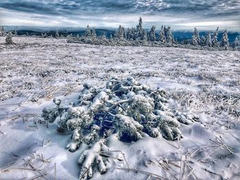 Scenic view of snow covered land against sky