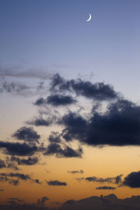 Low angle view of silhouette trees against sky during sunset