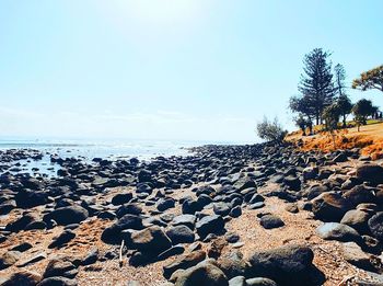 Scenic view of sea against clear sky