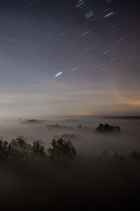Scenic view of trees against sky at night