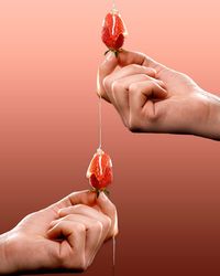 Close-up of hand holding apple against white background