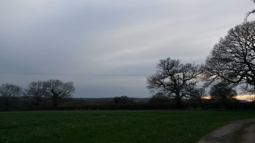 Scenic view of grassy field against sky