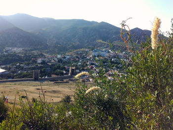 Scenic view of landscape against clear sky