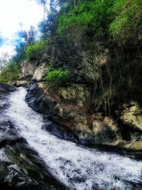 Scenic view of waterfall in forest against sky