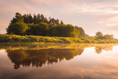 Reflection of trees in lake against sky