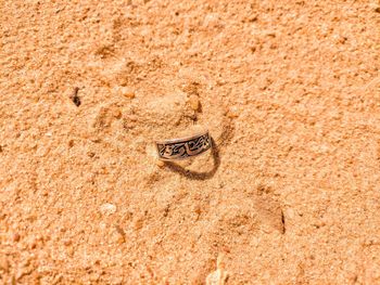 High angle view of footprints on sand