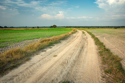 A sandy dirt road through fields and meadows, the horizon and clouds on the blue sky