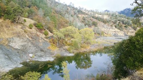 Scenic view of river in forest against sky