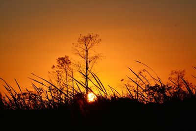 Silhouette plants on field against romantic sky at sunset