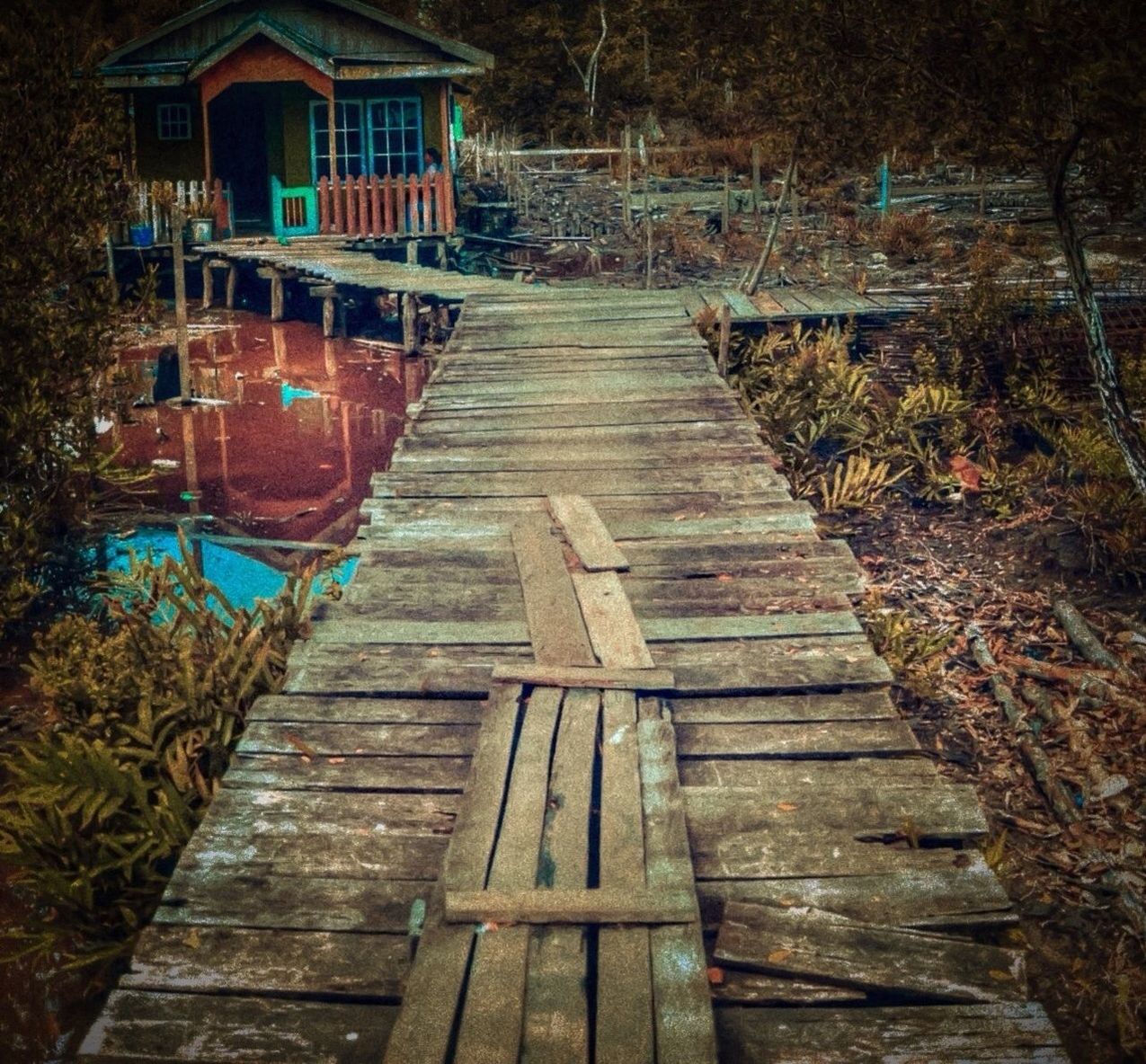 built structure, architecture, wood - material, building exterior, tree, house, the way forward, wood, wooden, plant, steps, railing, outdoors, no people, day, old, nature, footbridge, water, growth