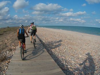 Rear view of two people on sea shore against sky