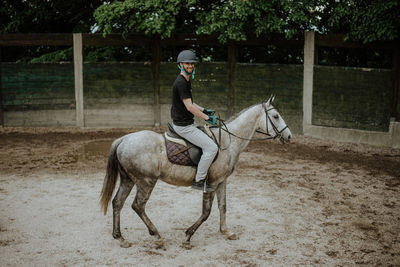 Horse standing on field