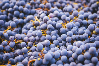 Full frame shot of grapes for sale at market