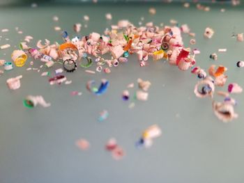 Close-up of pink flowers floating on water