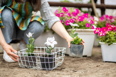 Midsection of woman holding potted plant