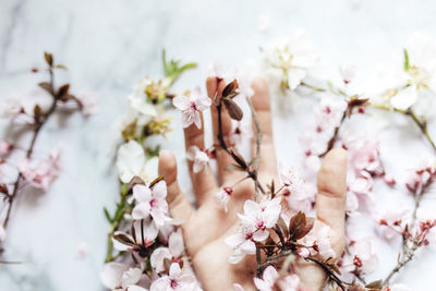 Female hand with pink almond flowers coming out of the sleeve on marble background.