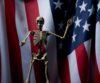 Human skeleton against american flag