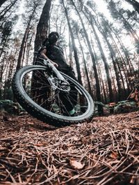 Person with bicycle on tree trunk in forest