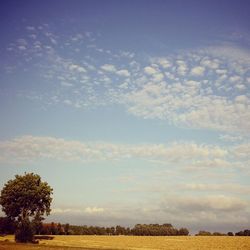 Scenic view of field against cloudy sky