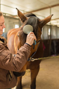 Woman cleaning horses at stable