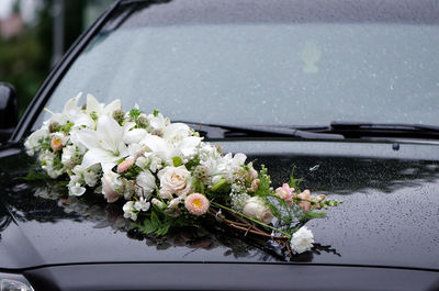 Close-up of white rose flowers in car