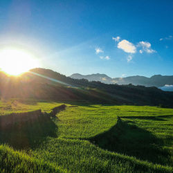 Scenic view of field against sky