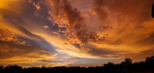 Low angle view of silhouette trees against dramatic sky