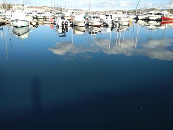 High angle view of sailboats moored in harbor